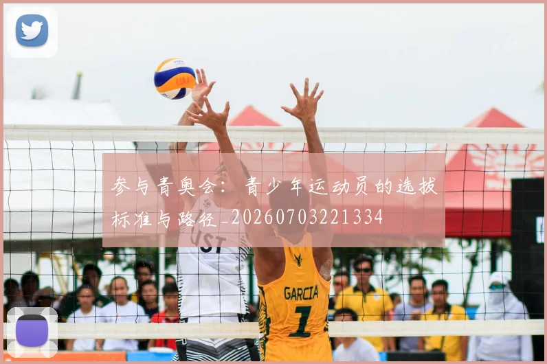 参与青奥会:青少年运动员的选拔标准与路径_20260703221334