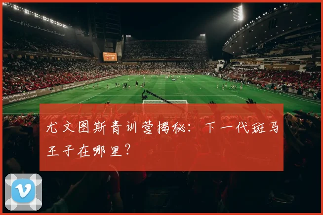 尤文图斯青训营揭秘：下一代斑马王子在哪里？